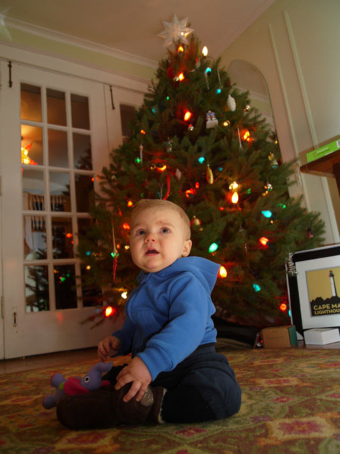 Henry by Christmas Tree