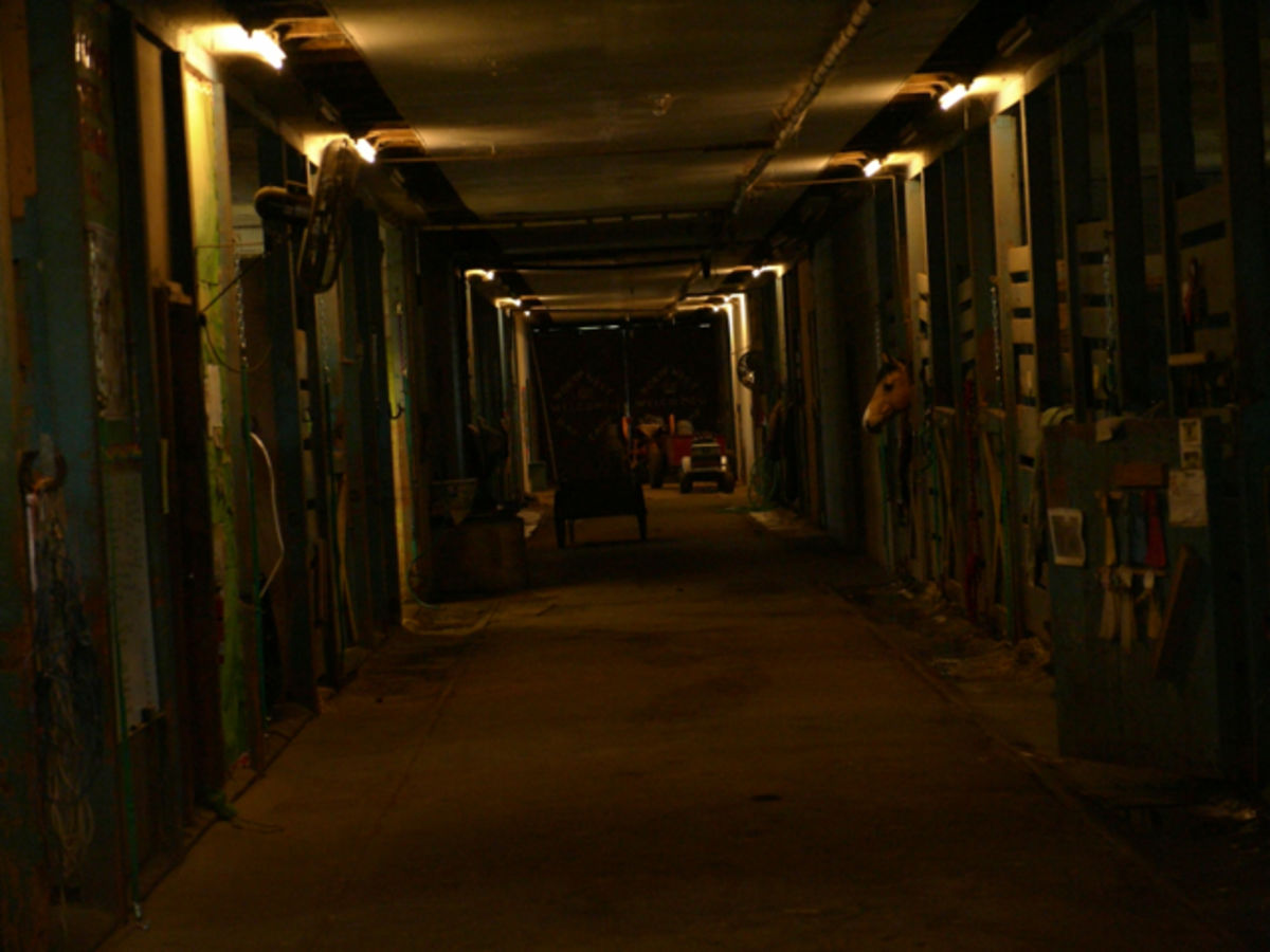 horse stables in Wissahickon