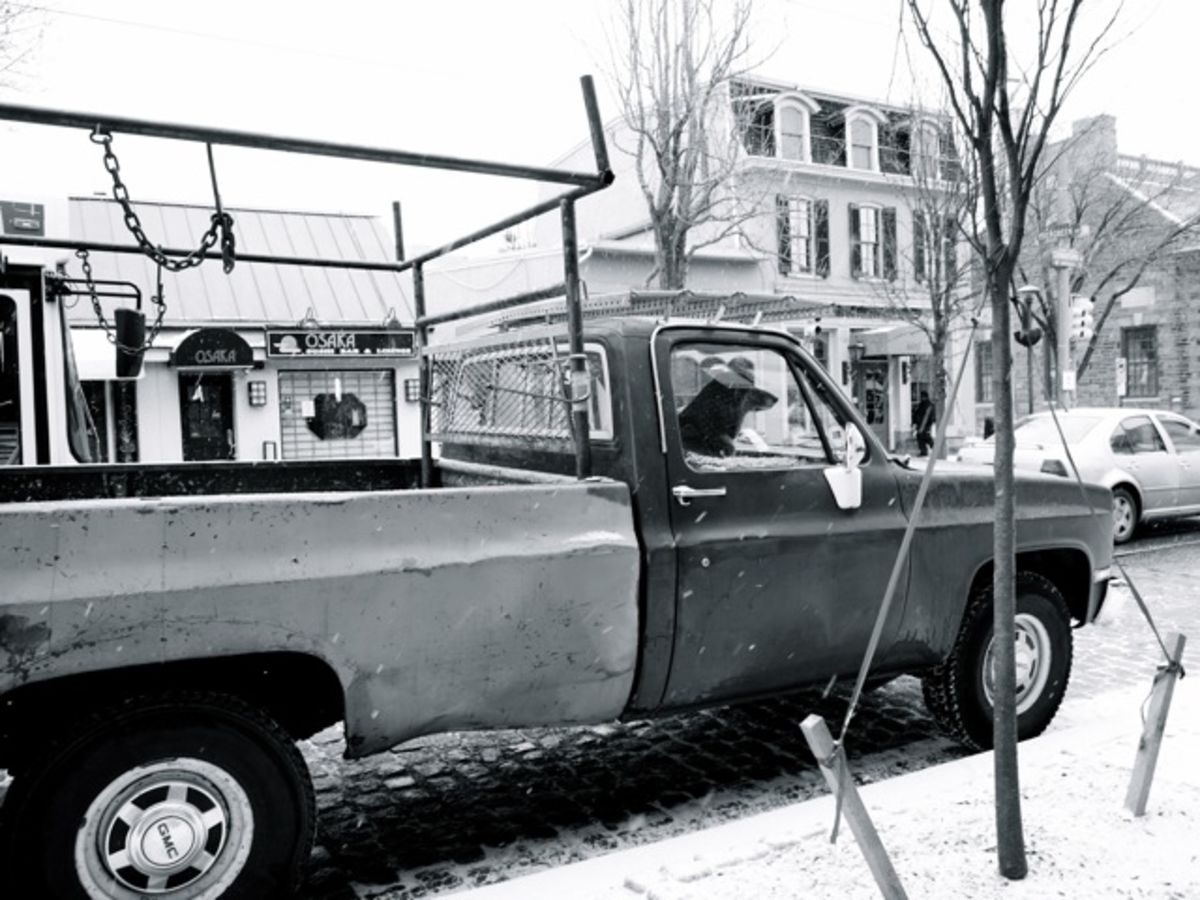 truck on the avenue