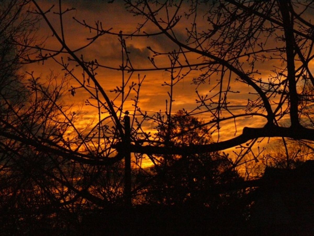 sunset