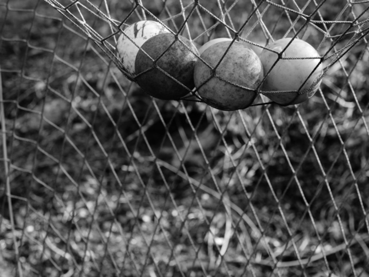 balls in net