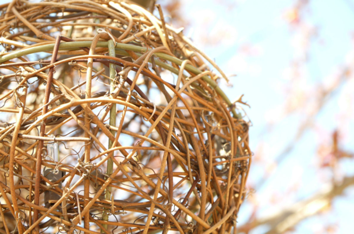 twig ball
