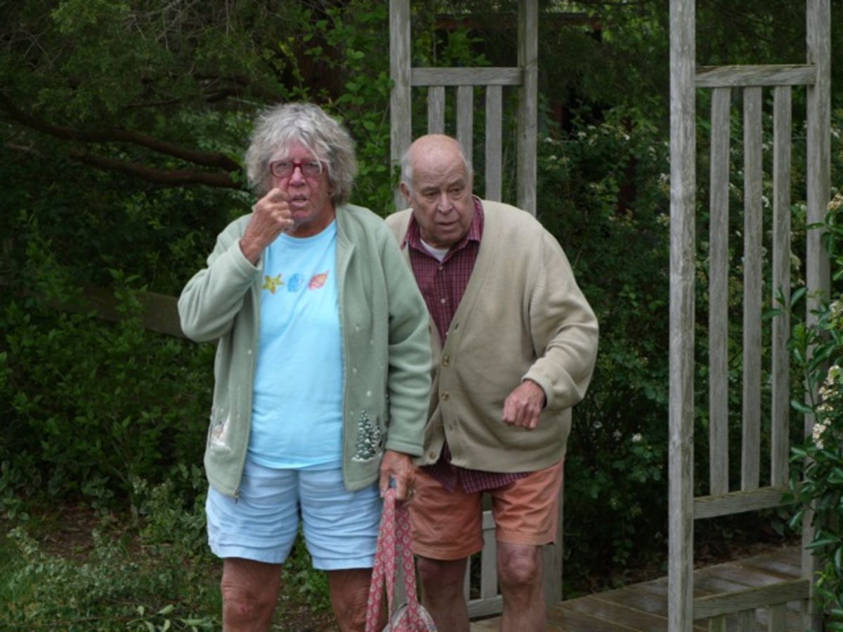 Toby and Bill wait for car