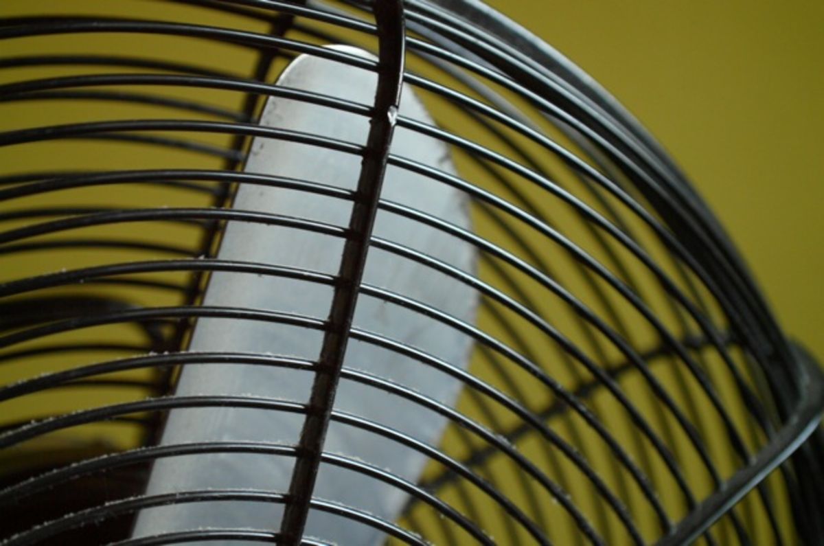 fan