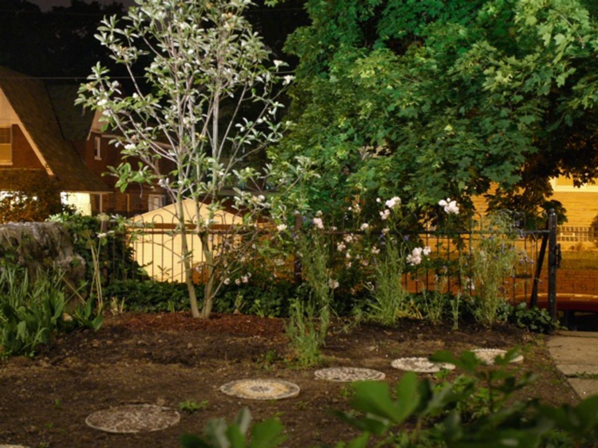 back garden