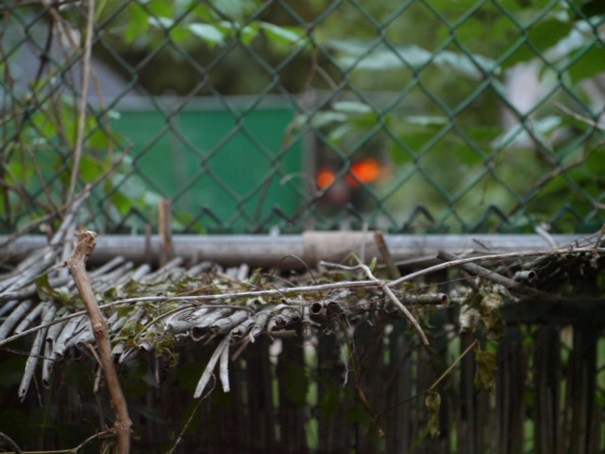 fence