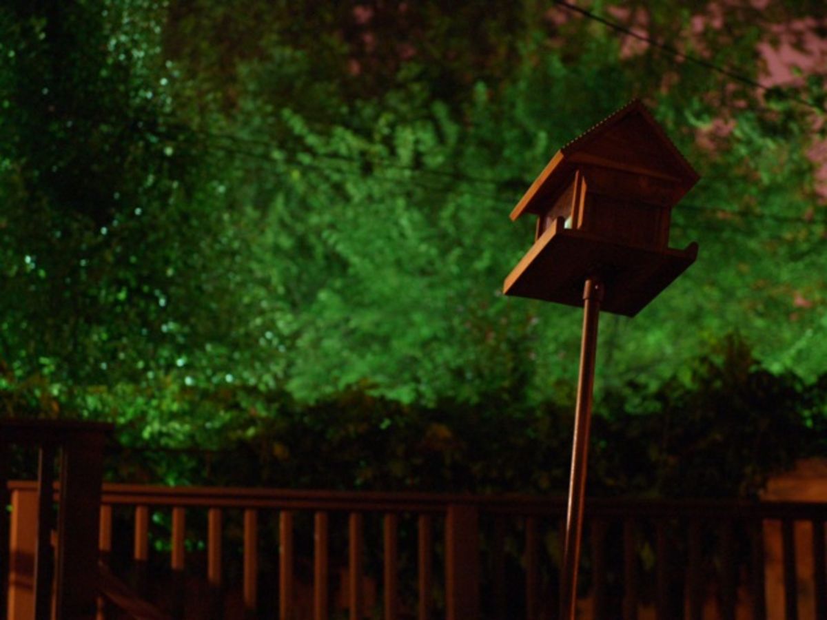 bird house