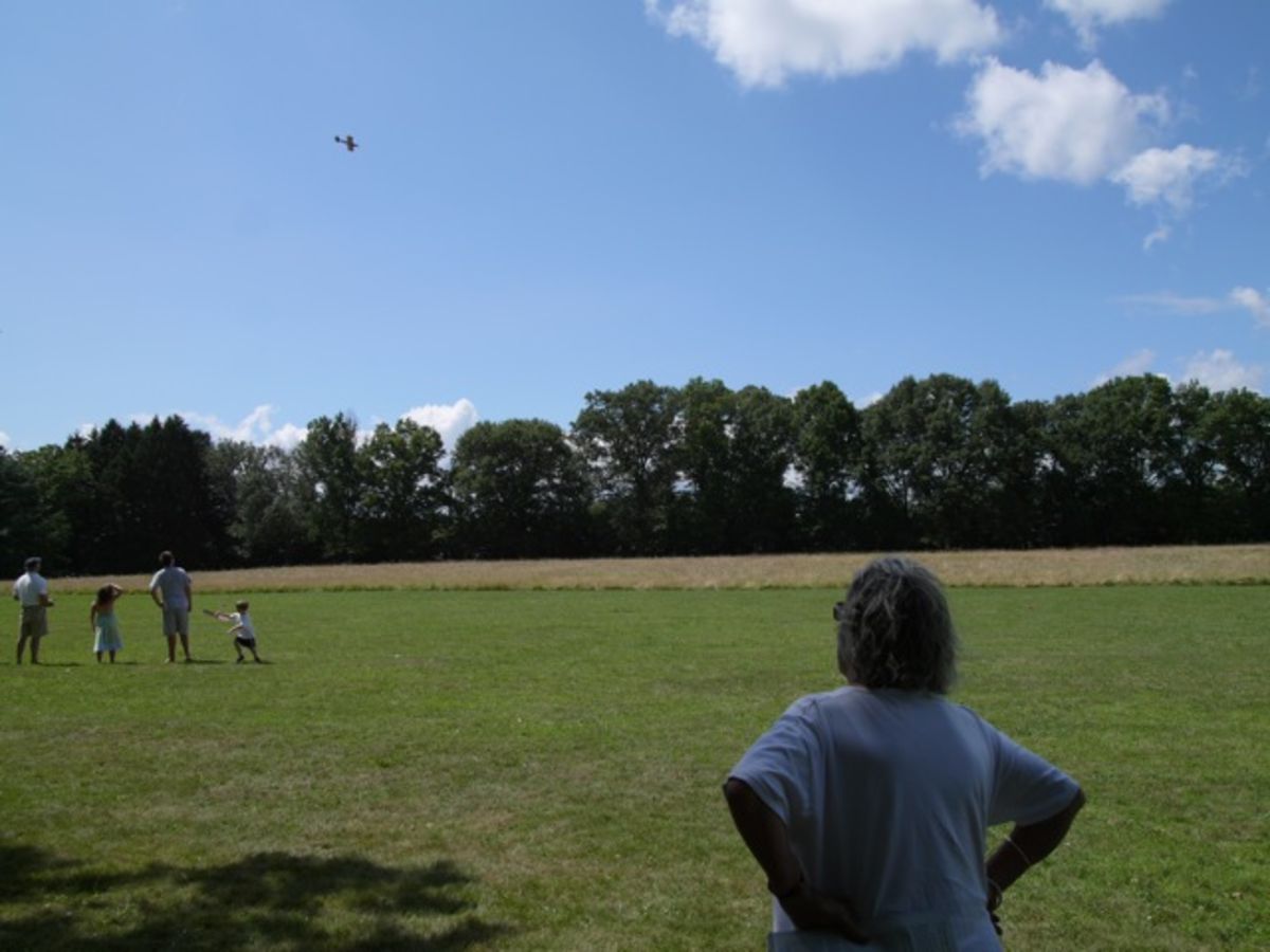 Toby watches model airplane