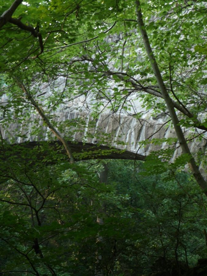 Wissahickon bridge