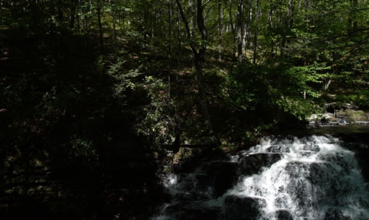 Bushkill Falls