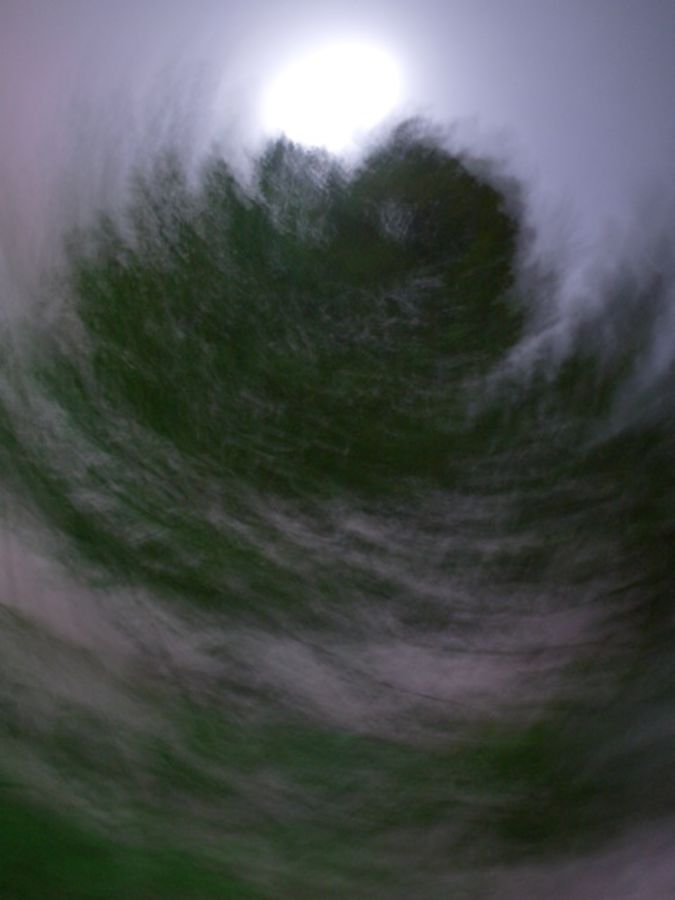 full moon and tree