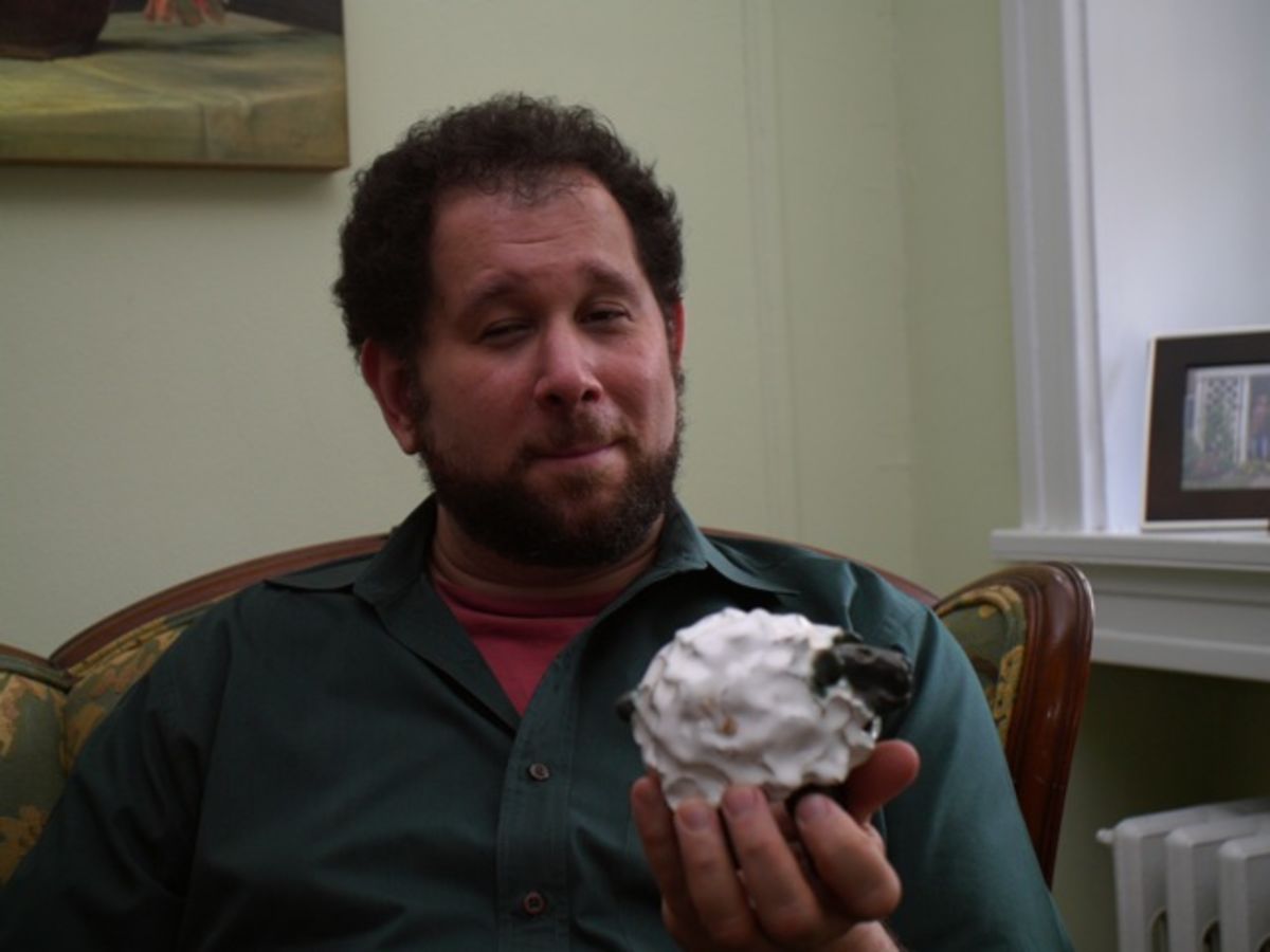 Ken with sheep