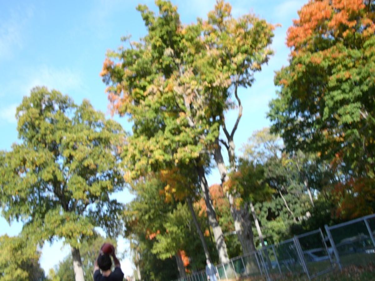 football catch