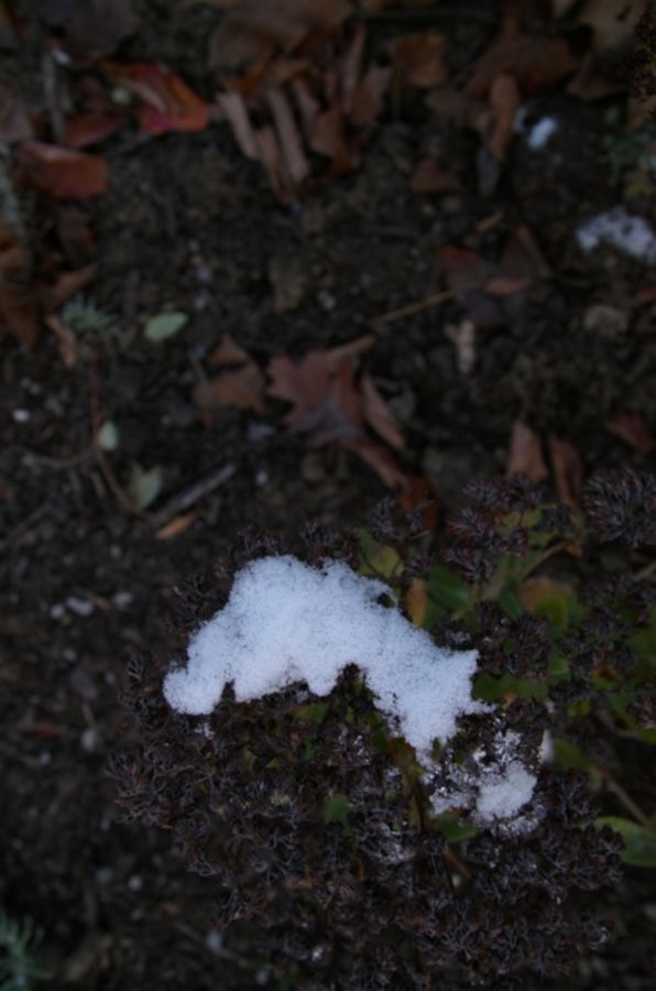 wintry weather