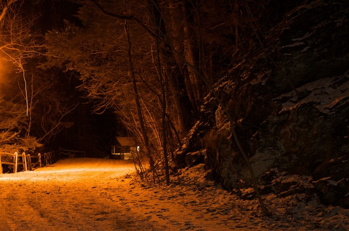 Forbidden Drive