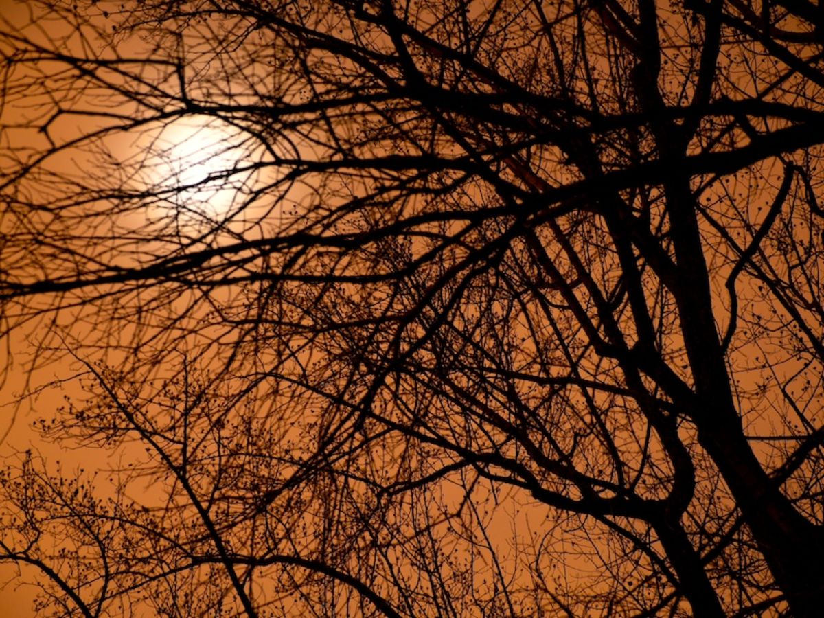 Wissahickon at night