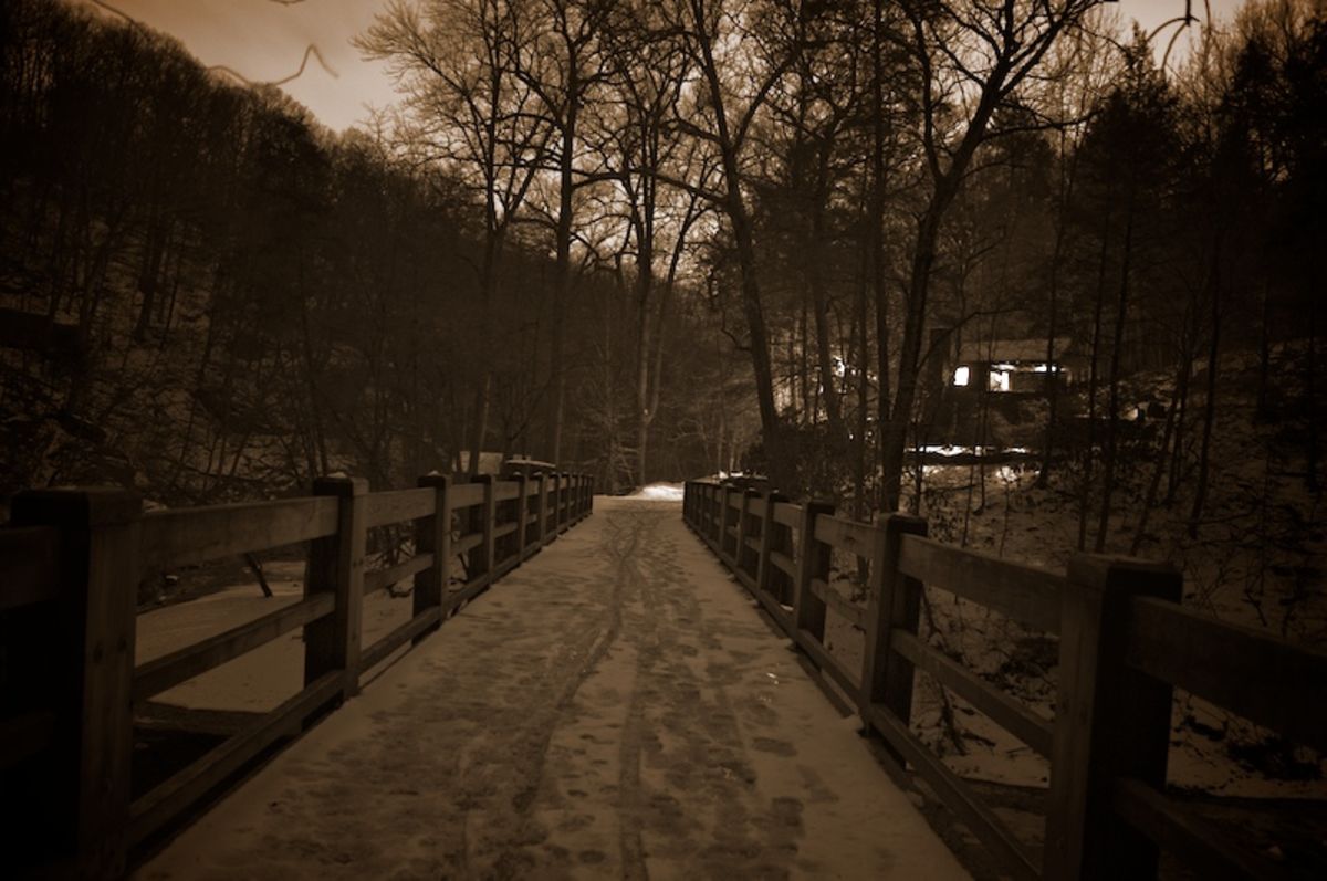 Wissahickon at night