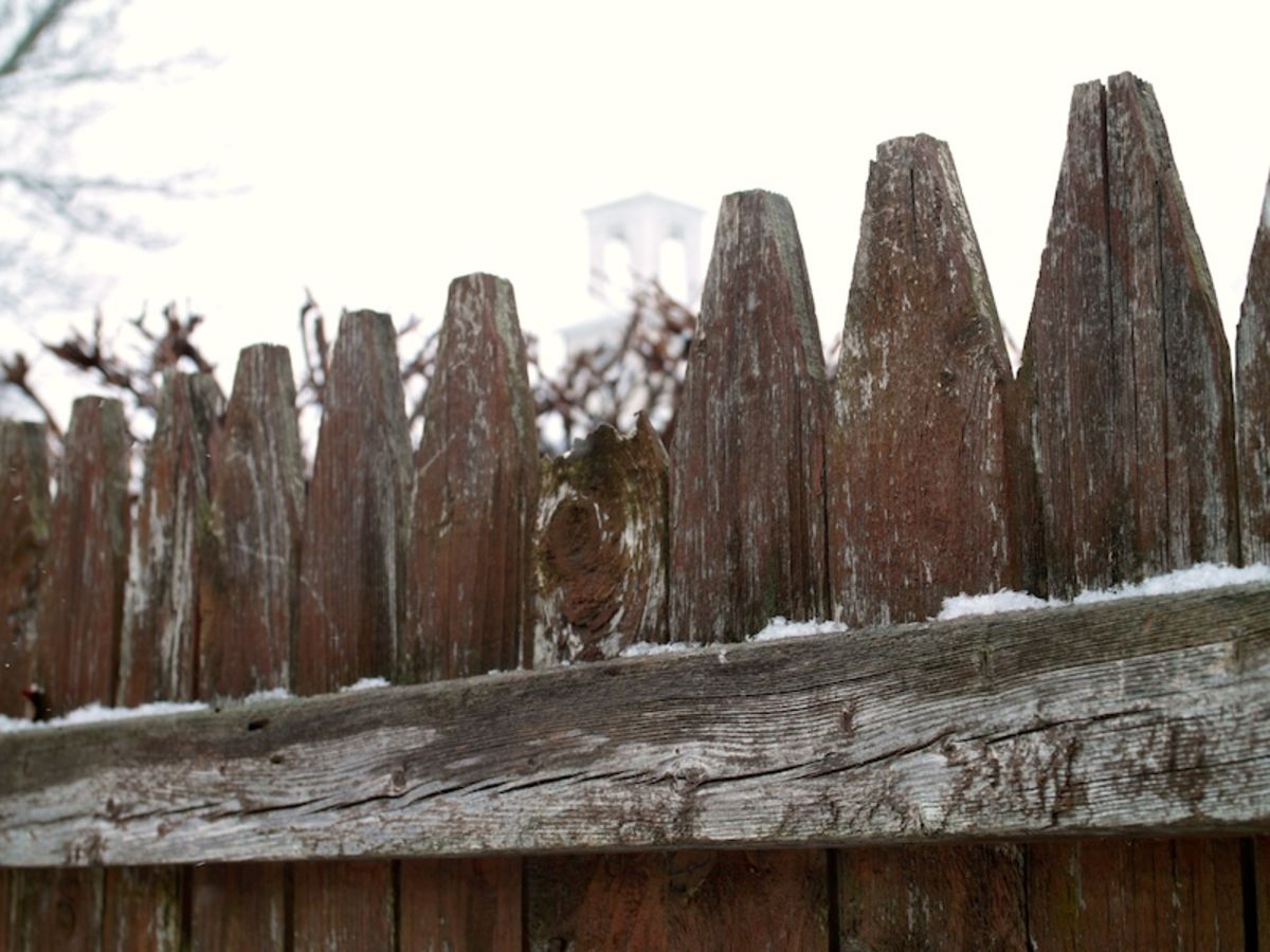 snow on fence