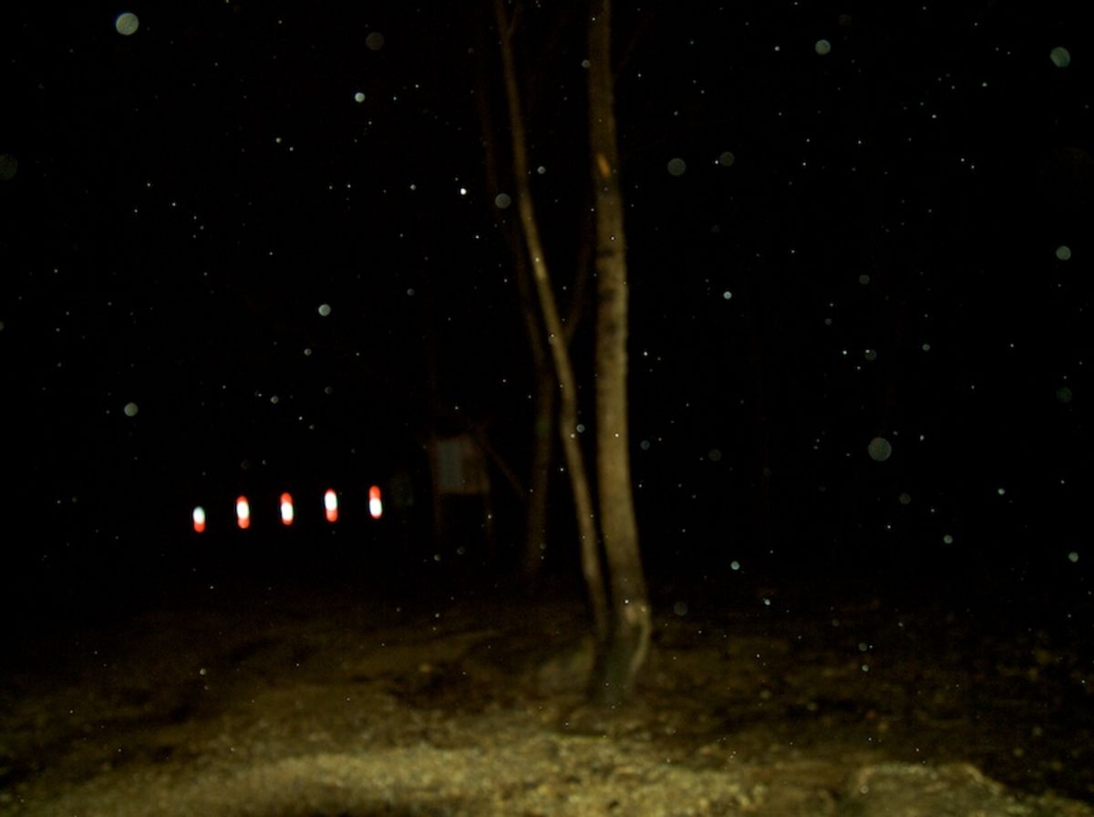 rain flash
