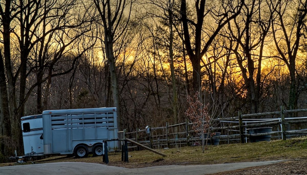 horse trailers