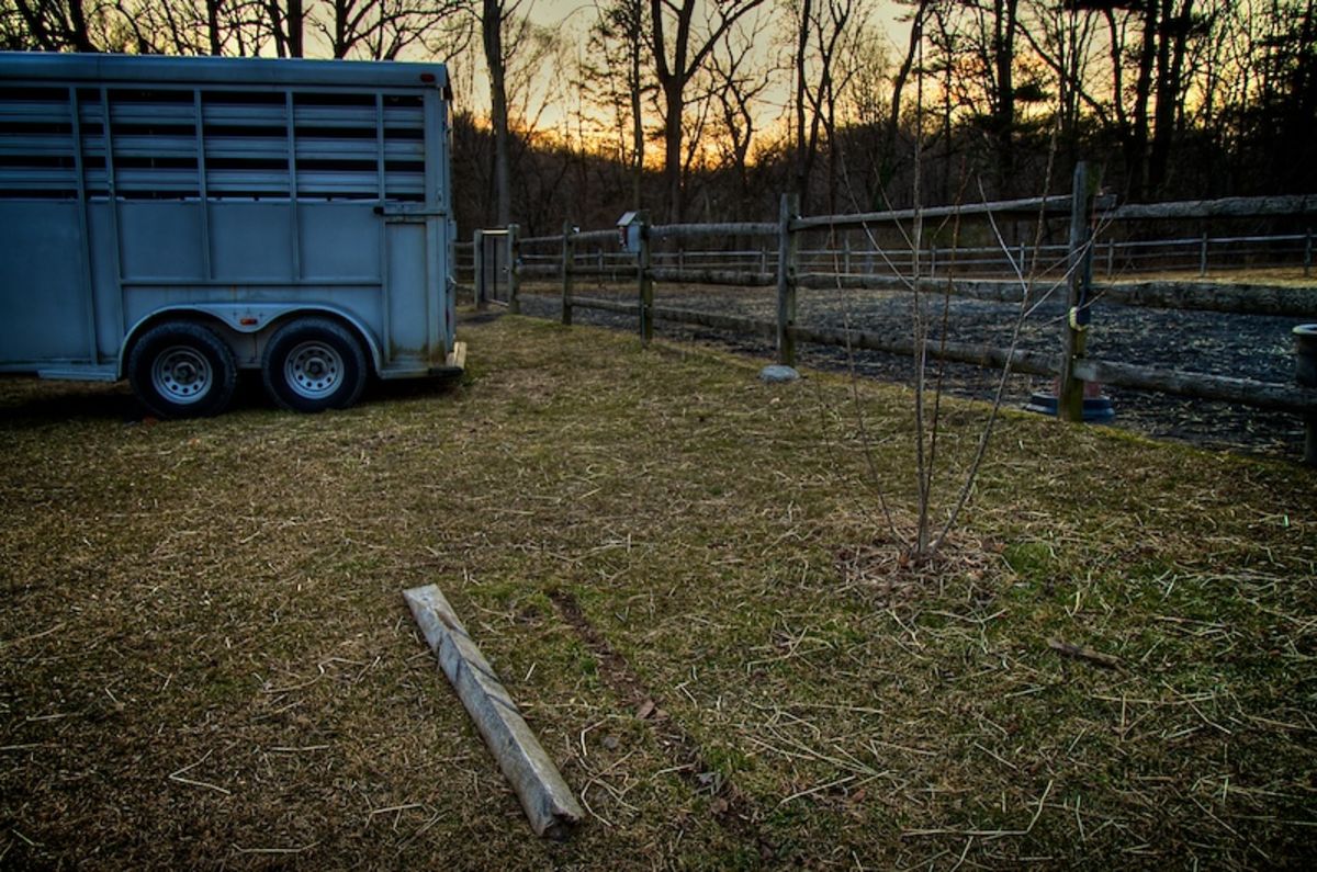 horse trailer