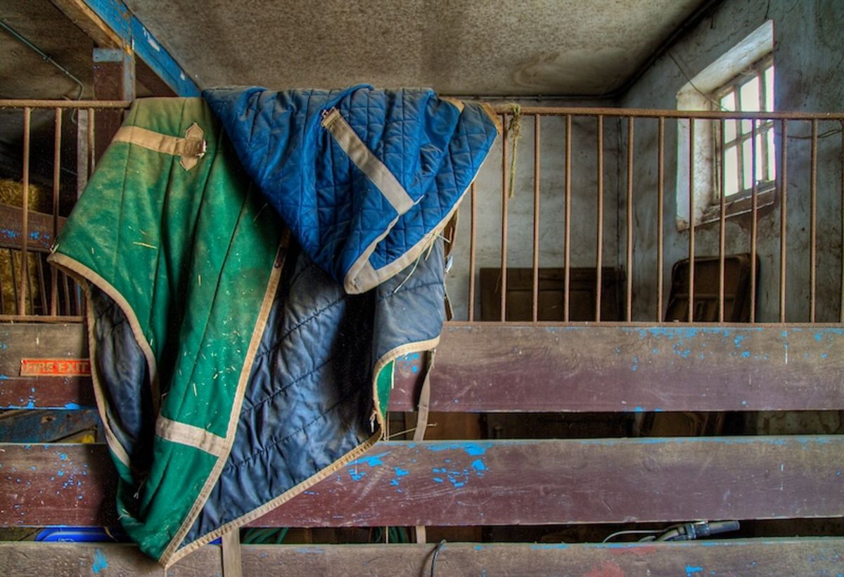 horse blanket