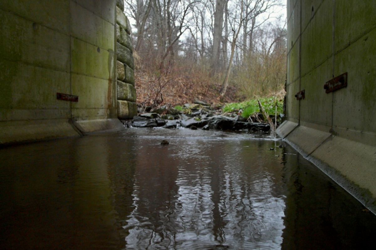 under the bridge 2
