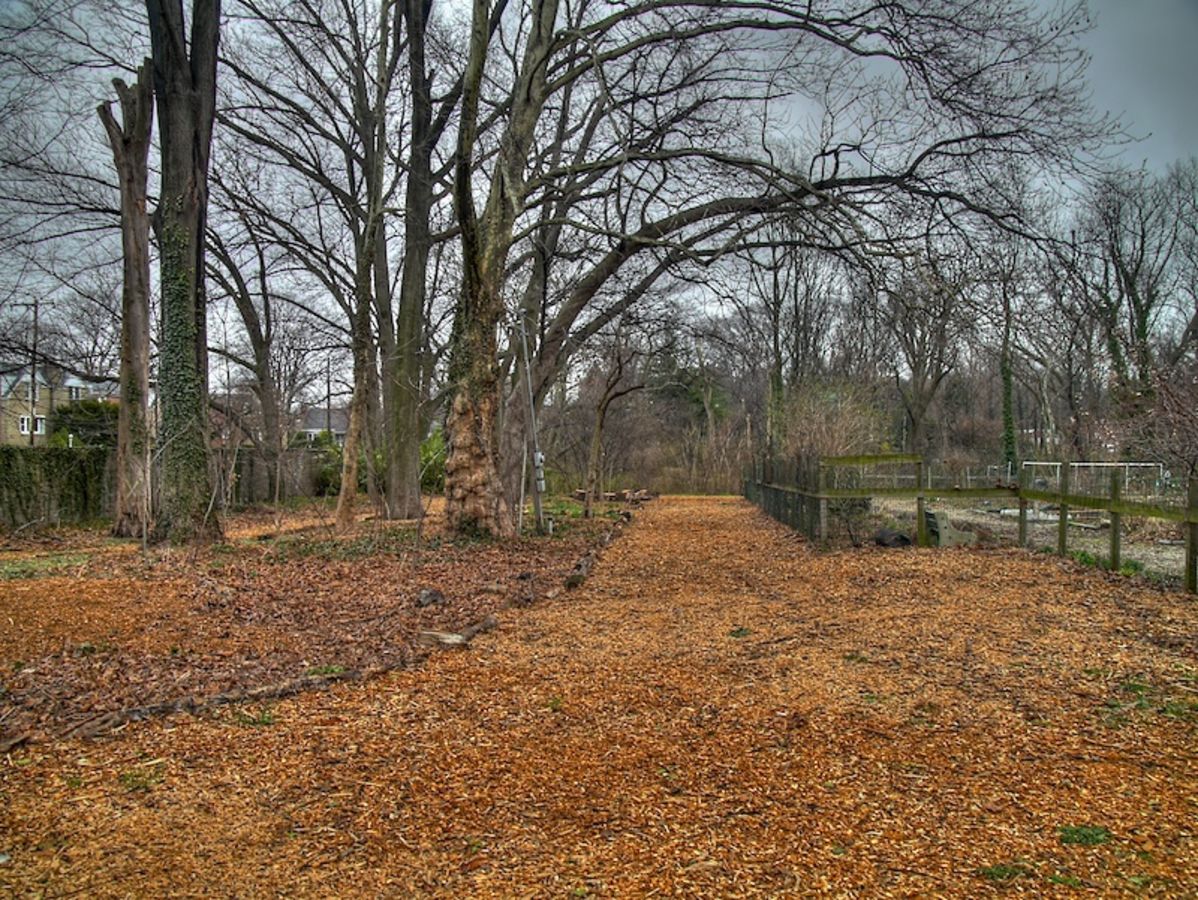 Awbury Arboretum