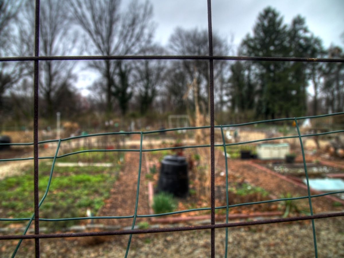 garden fence