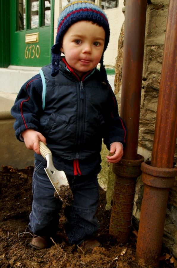 Henry in the yard