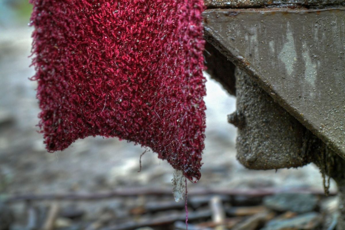 abandoned scarf