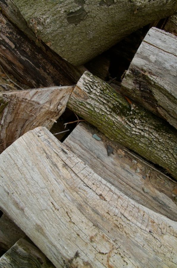 wood pile