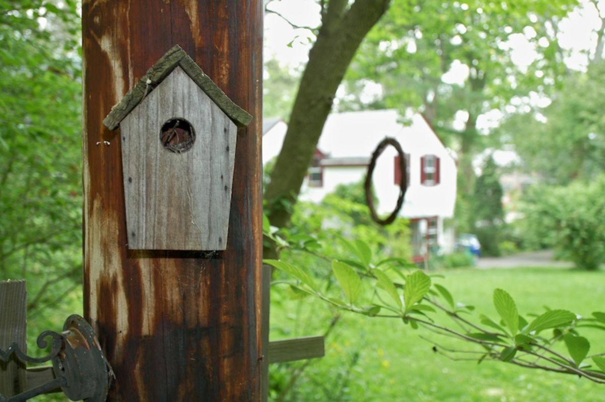 bat house