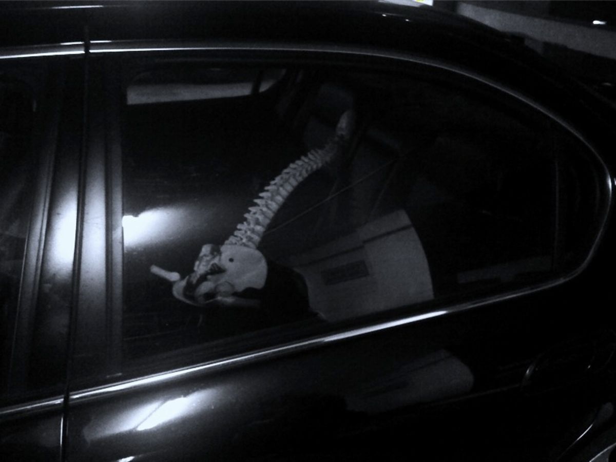 backseat spine