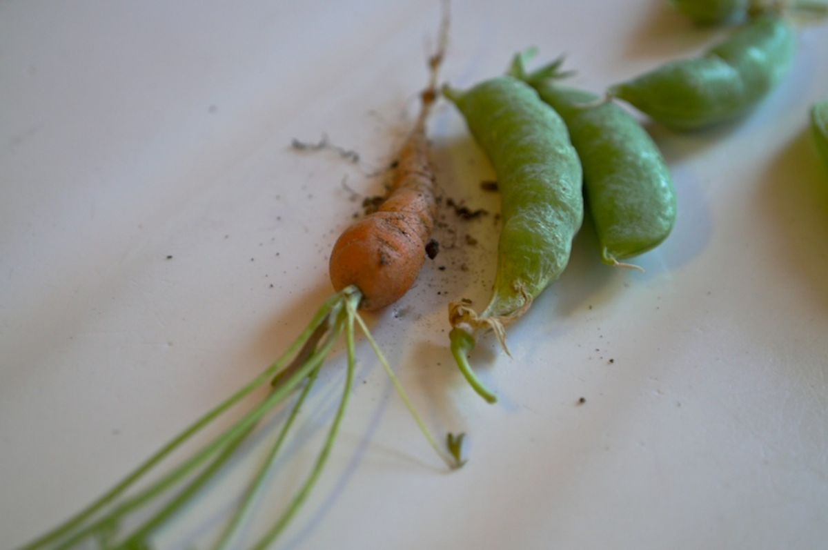 veggies