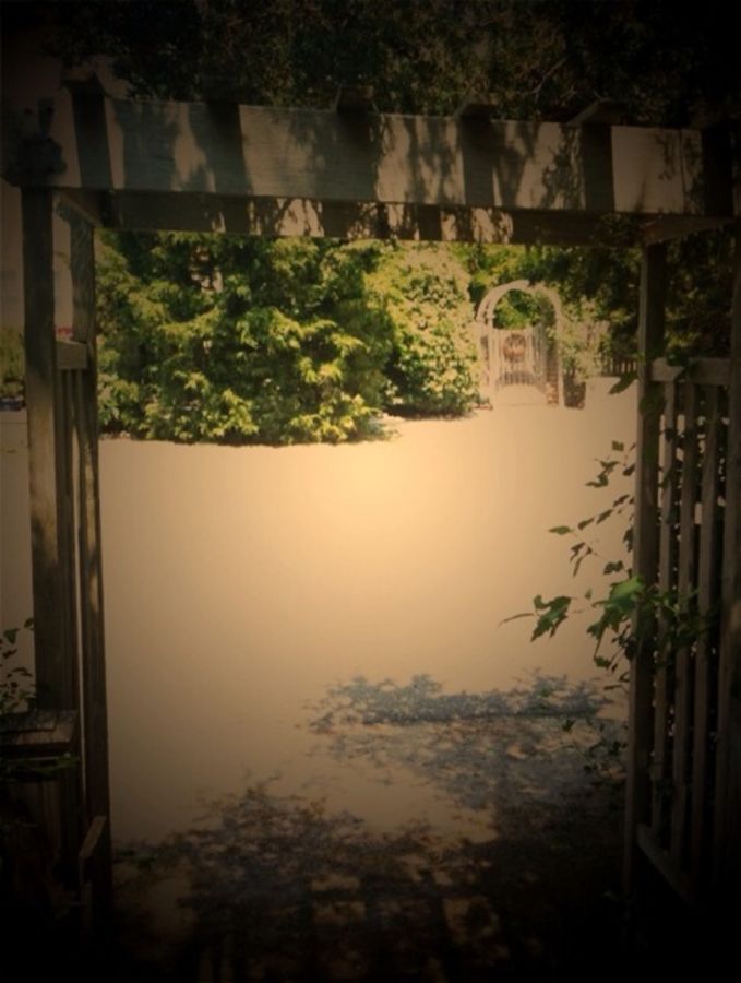 gate