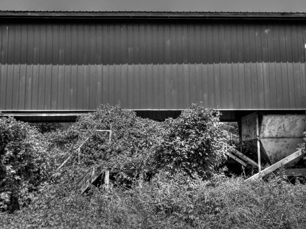 field study 2