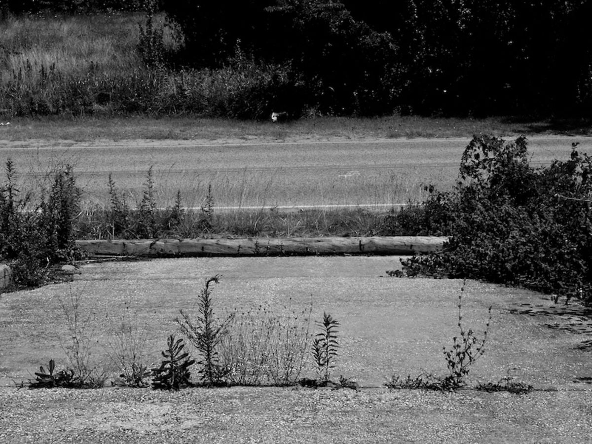 field study 4