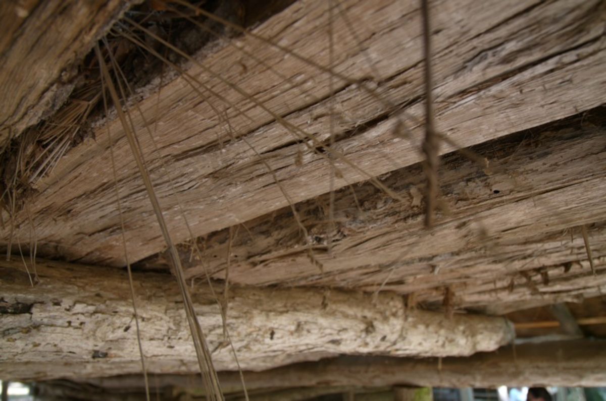 ceiling