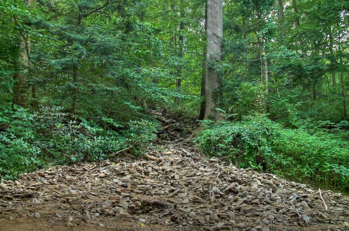 storm damage