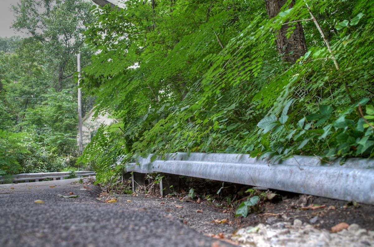low road