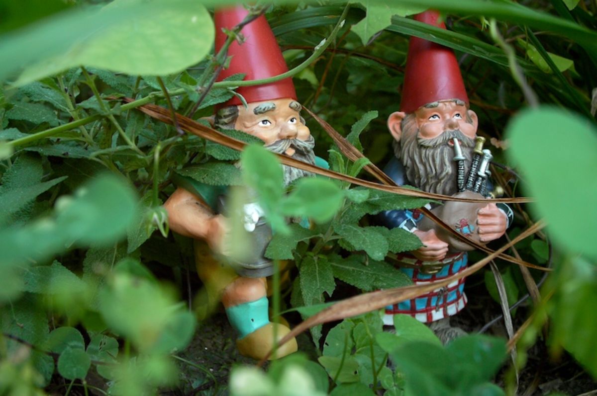 gnomes