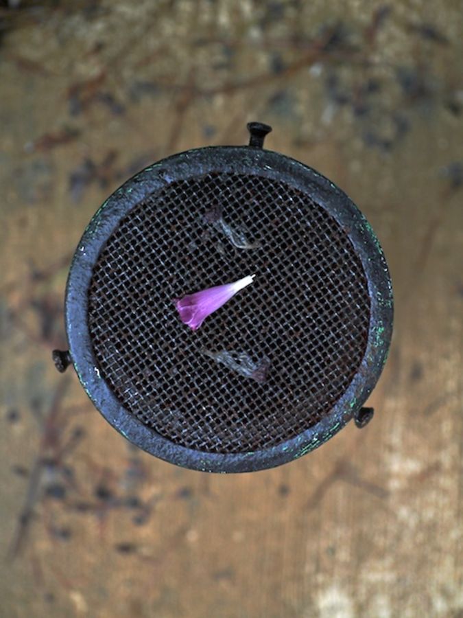 drain vent